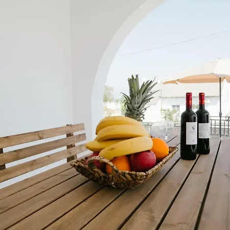 Irini & Vasiliki Villa Afandou